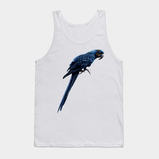 Hyacinth macaw Tank Top